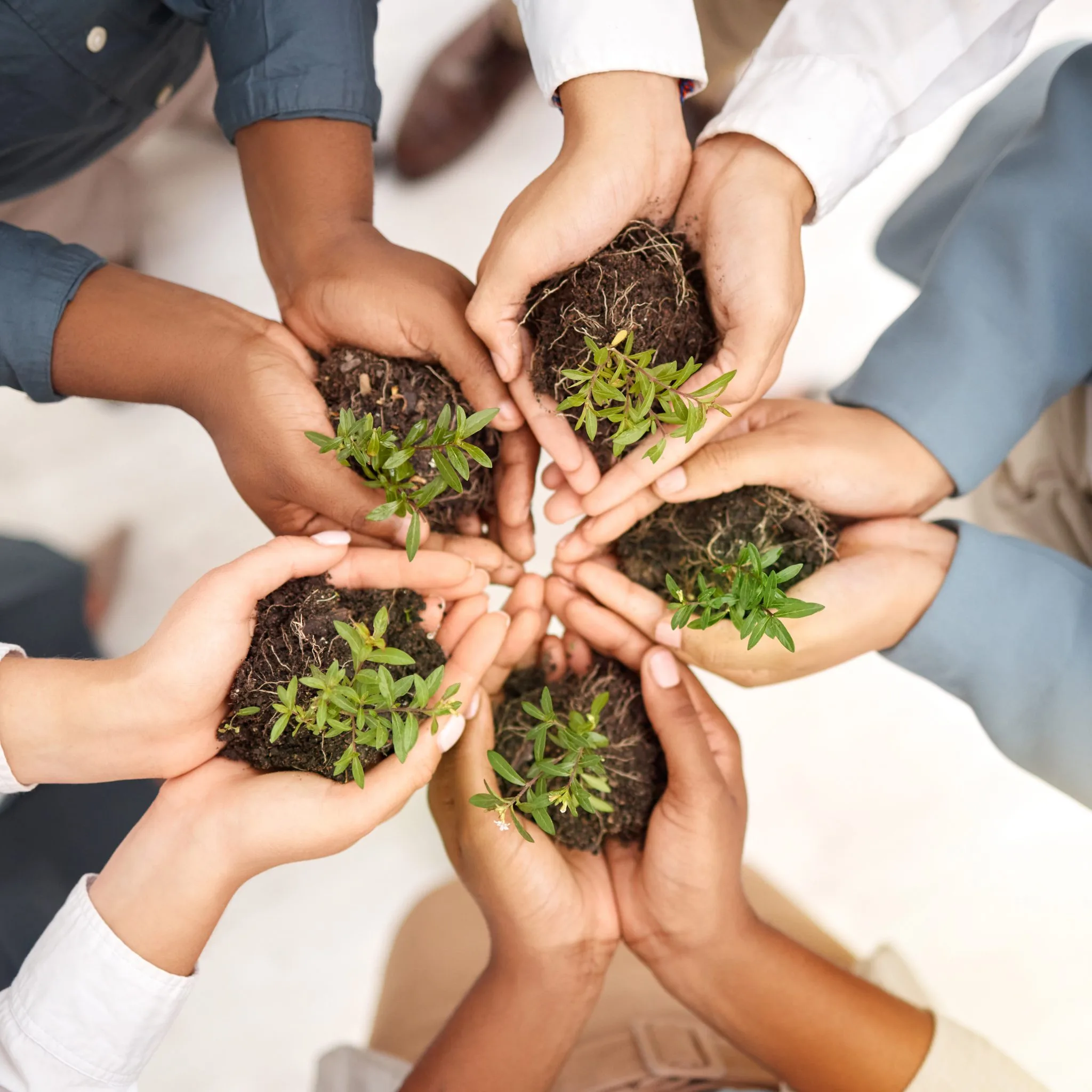 As Çakıroğlu Group, we embrace sustainability through an integrated approach and believe that environmental, social, and economic factors are interconnected and interdependent. With a holistic perspective, we strive to create more sustainable and resilient systems that benefit both people and the planet.